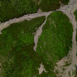 Satellite imagery of 7134, NZ