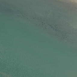 Satellite imagery of Motukokako Point, NZ