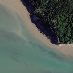 Satellite imagery of Motukokako Point, NZ