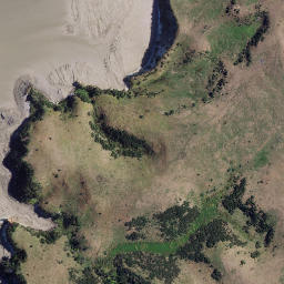 Satellite imagery of The Finger, NZ