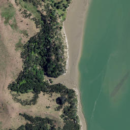Satellite imagery of The Finger, NZ