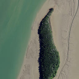 Satellite imagery of The Finger, NZ