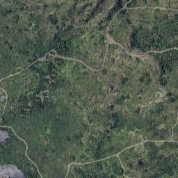 Satellite imagery of Rangitoto Point, NZ