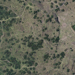 Satellite imagery of Rangitoto Point, NZ