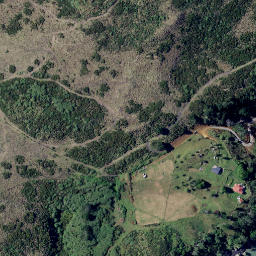 Satellite imagery of Rangitoto Point, NZ