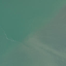 Satellite imagery of Paritata Point, NZ