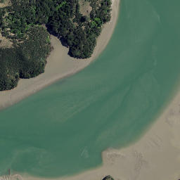 Satellite imagery of The Finger, NZ