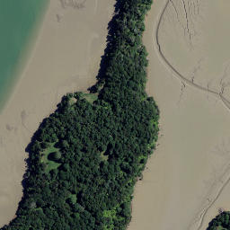 Satellite imagery of The Finger, NZ