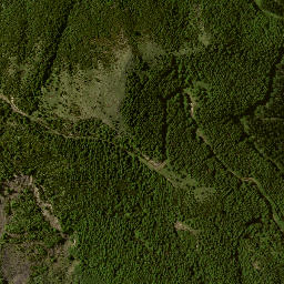 Satellite imagery of 7134, NZ