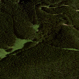 Satellite imagery of 7137, NZ