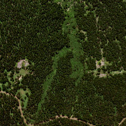 Satellite imagery of 7137, NZ