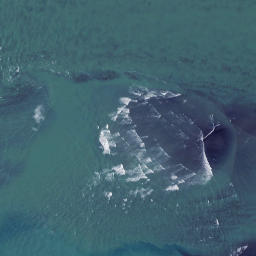 Satellite imagery of 48 SOUTH HEAD, NZ