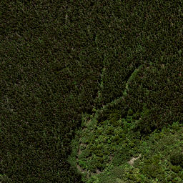 Satellite imagery of 7137, NZ