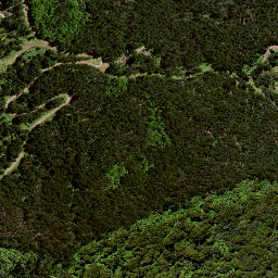 Satellite imagery of TE WHAKAUMUATANGIHIA NO 2, NZ