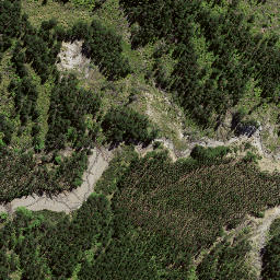 Satellite imagery of 7215, NZ