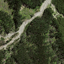 Satellite imagery of 7215, NZ