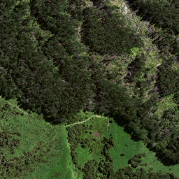 Satellite imagery of TUTARA NO 2, NZ