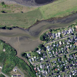 Satellite imagery of Joys Point, NZ