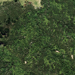 Satellite imagery of 7021, NZ