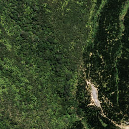 Satellite imagery of 7021, NZ