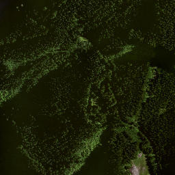 Satellite imagery of C (Raukumara East SD), NZ