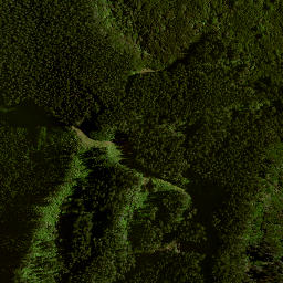 Satellite imagery of C (Raukumara East SD), NZ