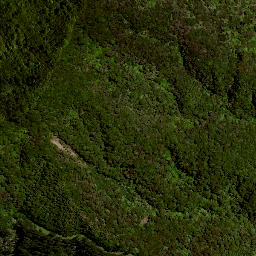 Satellite imagery of C (Raukumara East SD), NZ