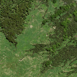 Satellite imagery of 7135, NZ