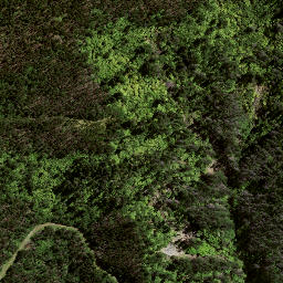 Satellite imagery of TE WHAKAUMUATANGIHIA NO 2, NZ