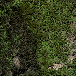 Satellite imagery of TE WHAKAUMUATANGIHIA NO 2, NZ