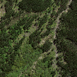 Satellite imagery of 7215, NZ