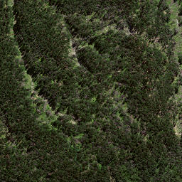 Satellite imagery of 7215, NZ