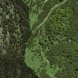 Satellite imagery of 7215, NZ