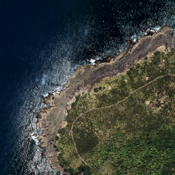 Satellite imagery of Ohae Point, NZ