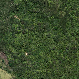 Satellite imagery of 7021, NZ