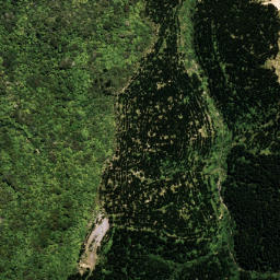 Satellite imagery of 7021, NZ