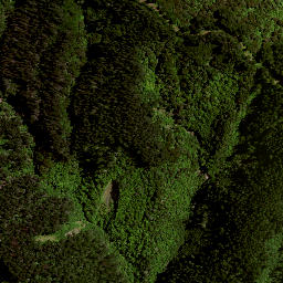 Satellite imagery of C (Raukumara East SD), NZ