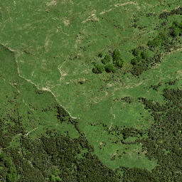 Satellite imagery of 7135, NZ