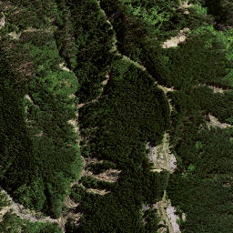 Satellite imagery of TE WHAKAUMUATANGIHIA NO 2, NZ