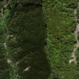 Satellite imagery of TE WHAKAUMUATANGIHIA NO 2, NZ