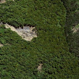 Satellite imagery of TA OUEWHEKI NO 2, NZ