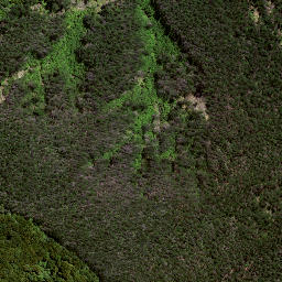 Satellite imagery of TA OUEWHEKI NO 2, NZ