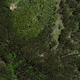 Satellite imagery of 7215, NZ