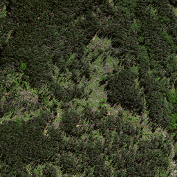 Satellite imagery of 7215, NZ