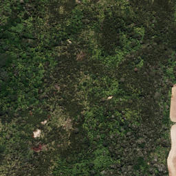 Satellite imagery of 7022, NZ