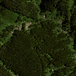 Satellite imagery of C (Raukumara East SD), NZ
