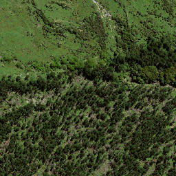 Satellite imagery of 7135, NZ