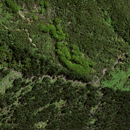 Satellite imagery of 7135, NZ