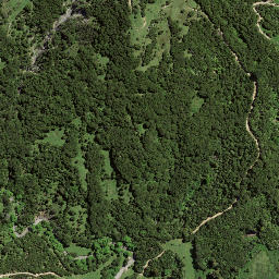 Satellite imagery of 7241, NZ