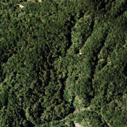 Satellite imagery of 1322 RANGIPOUA, NZ